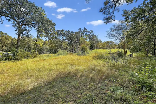 11679 Misty Glen LN, Willis, TX 77318