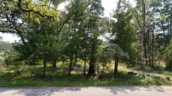 11679 Misty Glen LN, Willis, TX 77318