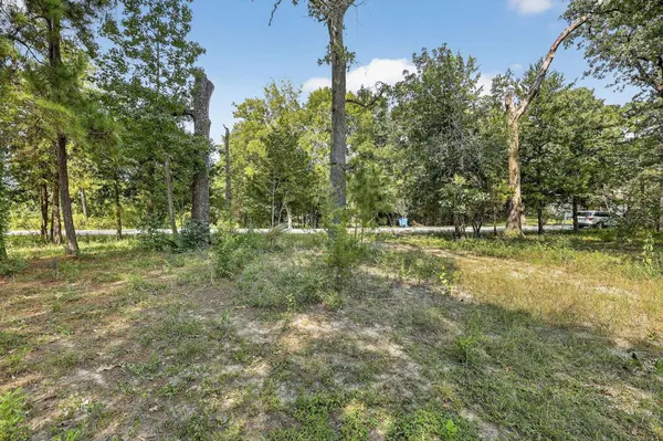 11679 Misty Glen LN, Willis, TX 77318