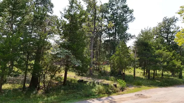 11679 Misty Glen LN, Willis, TX 77318