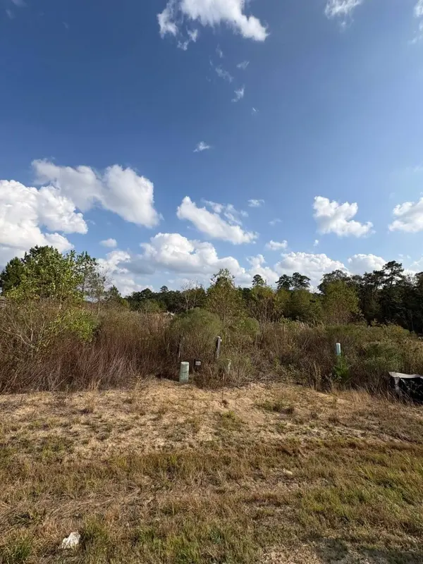 2023 Road 5511, Cleveland, TX 77327