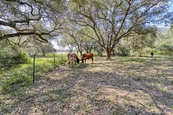 0 HWY 90, Rock Island, TX 77470