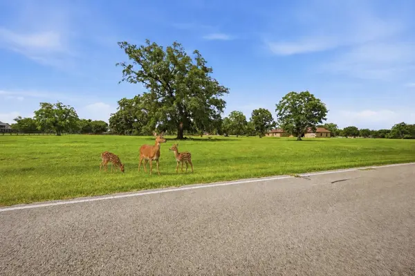 1011 W Fm 1462, Rosharon, TX 77583