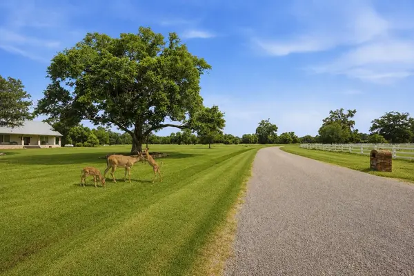 1011 W Fm 1462, Rosharon, TX 77583