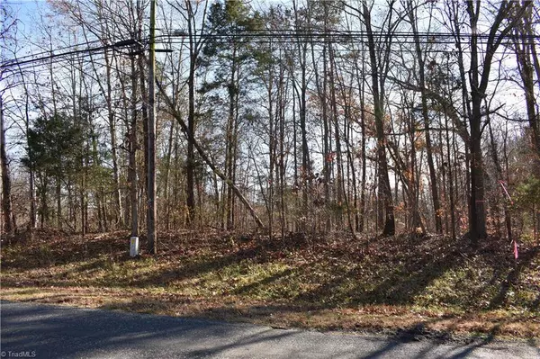 0 Young DR #New Tract 2, Lexington, NC 27292