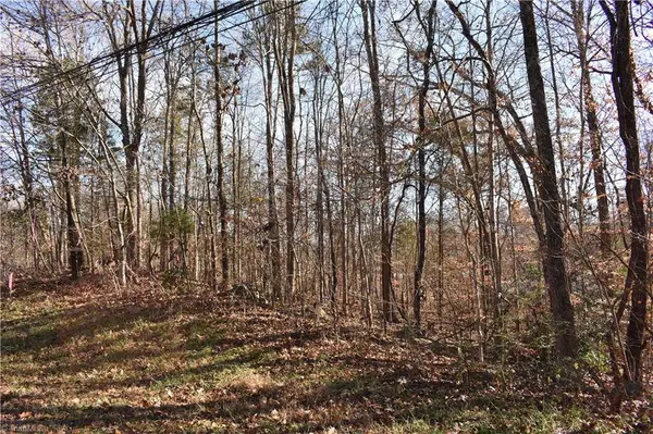 192 Young DR #New Tract 1, Lexington, NC 27292