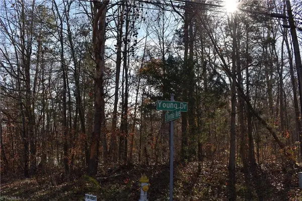 194 Young DR #New Tract 2, Lexington, NC 27292