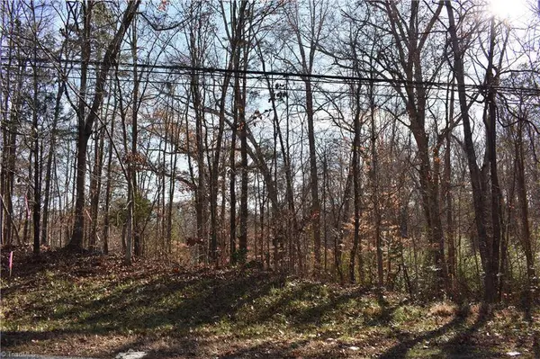 192 Young DR #New Tract 1, Lexington, NC 27292