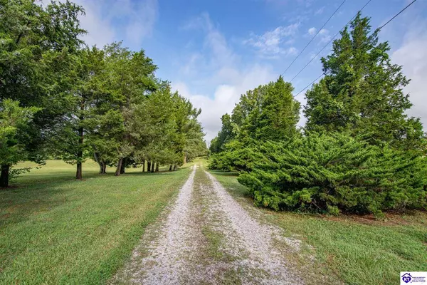 985 Buck Knobs Road, Ekron, KY 40117