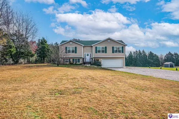 90 Charlie Pile Road, Guston, KY 40142