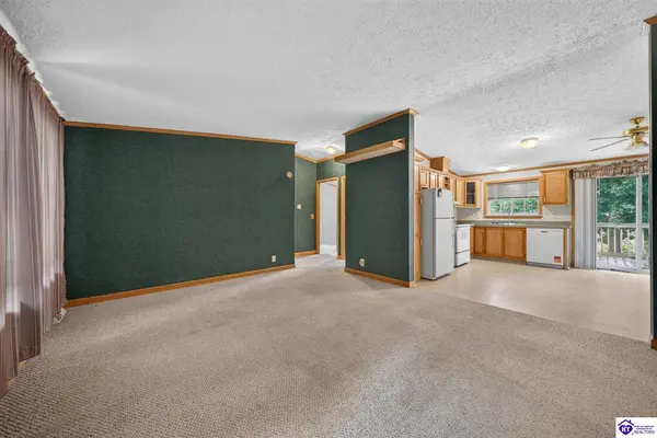 561 Yates Chapel Road, Cecilia, KY 24724