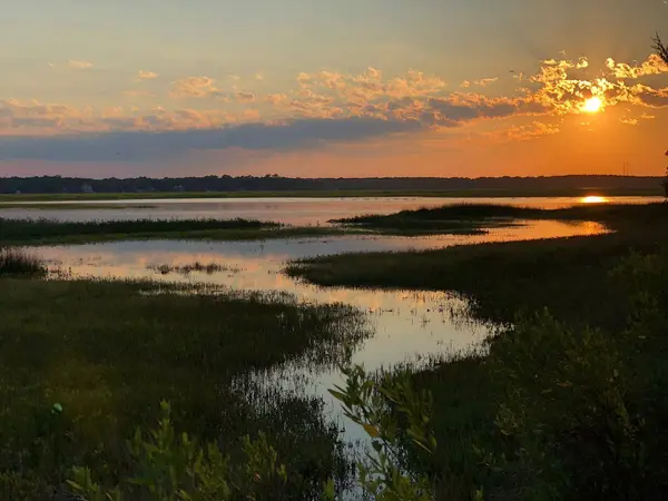 Living on James Island: Charleston’s Coastal Suburb with Heart,Ashley Walsh