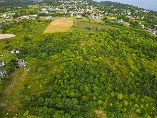 45B English Hill, Carbonear, NL A1Y 1A8