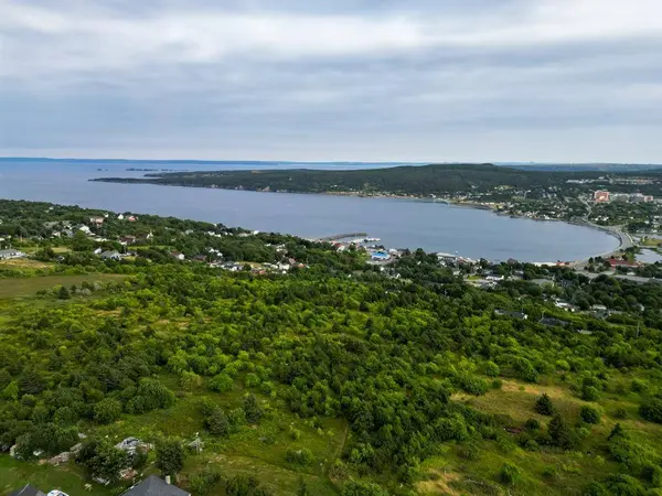 45B English Hill, Carbonear, NL A1Y 1A8