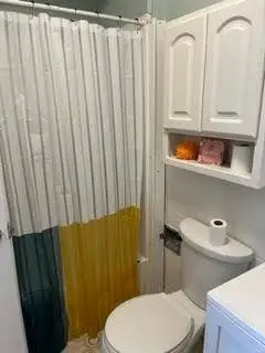 43 W Willard, Battle Creek, MI 49037