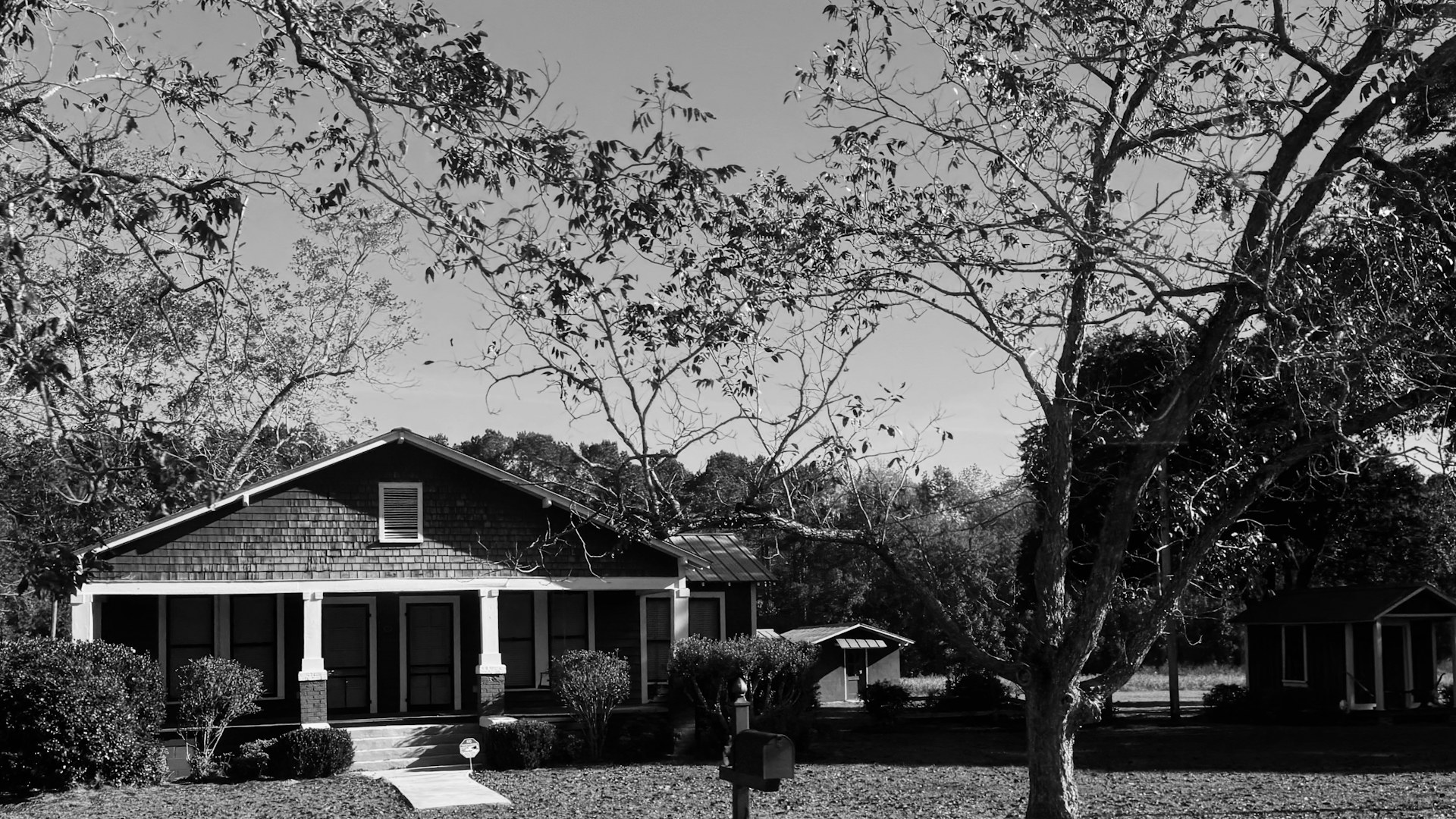 A house with a covered front porch set behind large trees