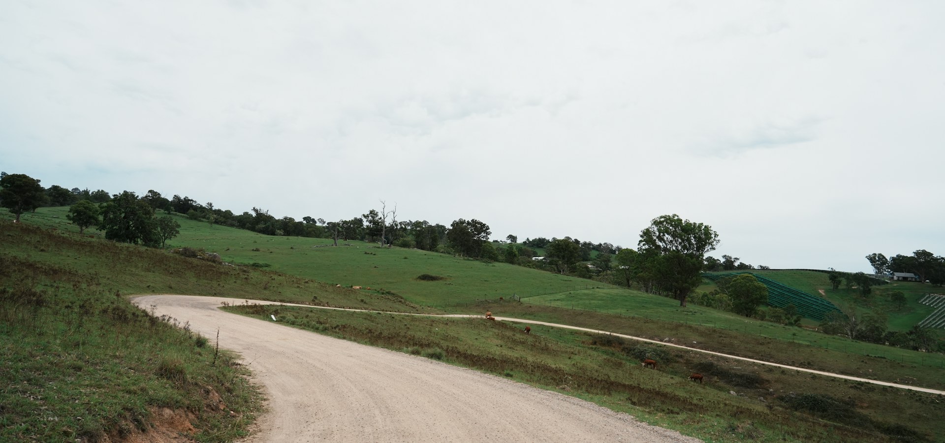 A winding rural road through rolling green hills and woodland