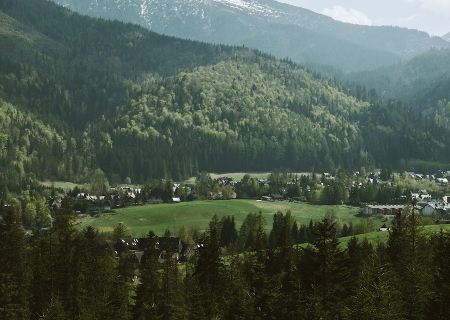 Rolling green hills with scattered houses and trees