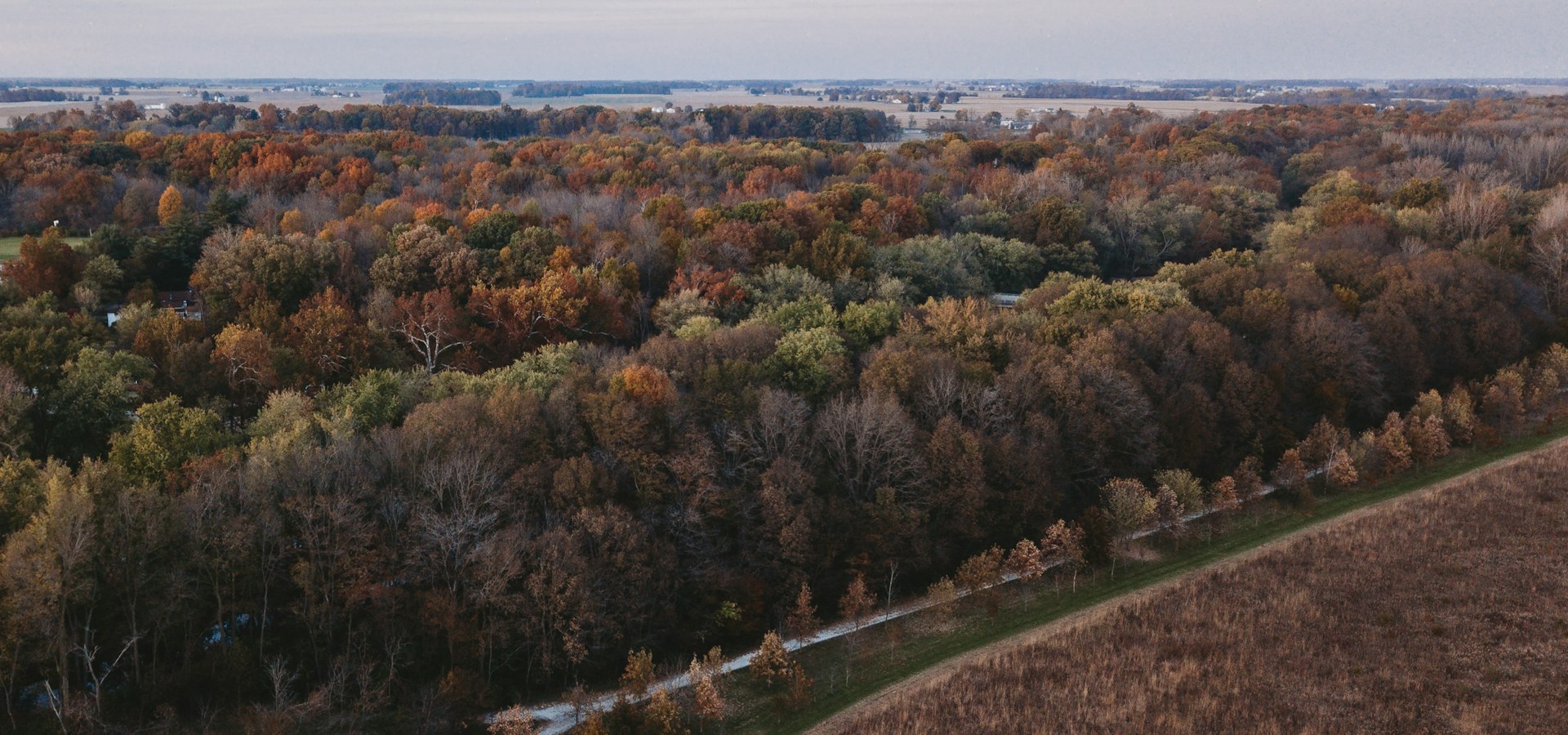 Autumn woodland and open fields seen from above in southern Indiana
