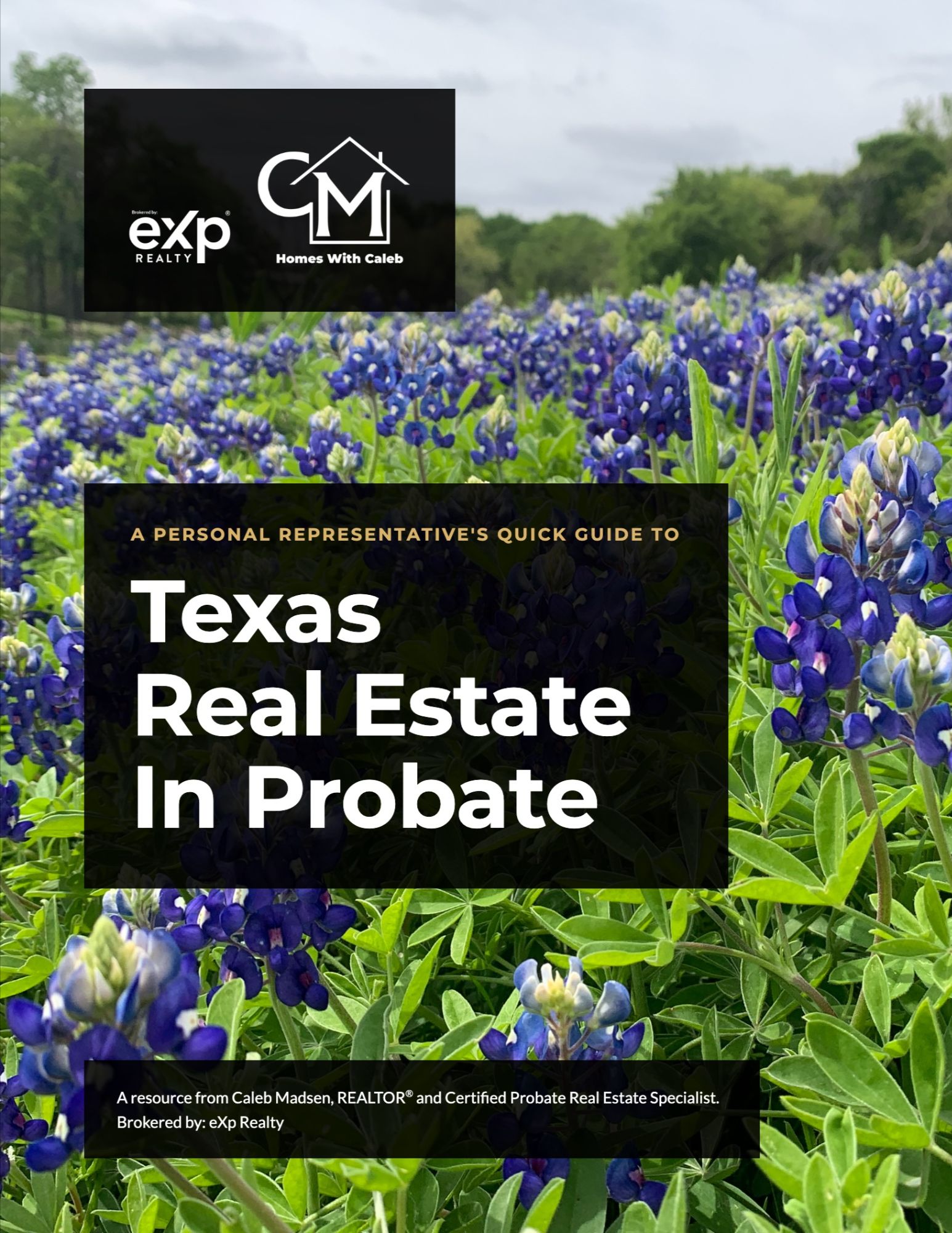 A Personal Representative's Quick Guide to Texas Real Estate in Probate - cover