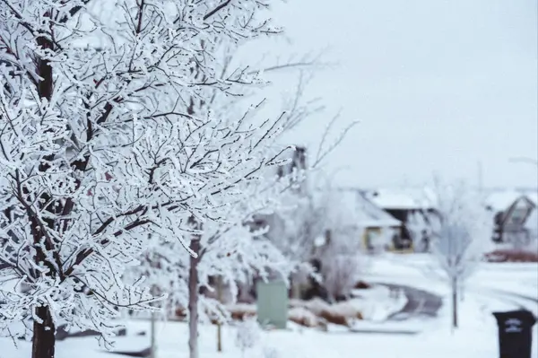 The Biggest Perks of Buying a Home This Winter