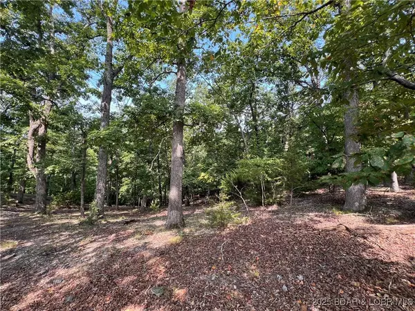 630 Eagle DR, Four Seasons, MO 65049