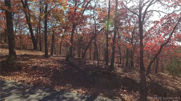 Lot 64 Dennison DR, Linn Creek, MO 65052