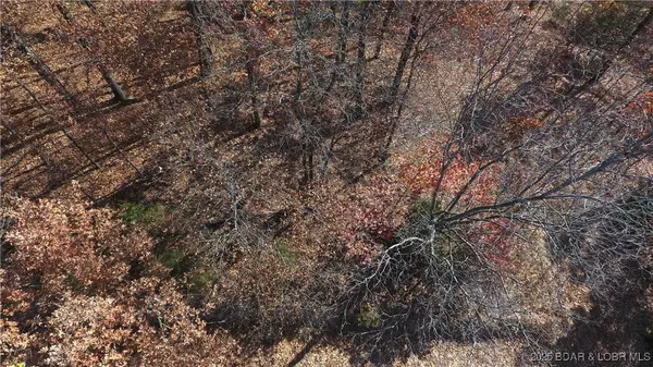 Lot 67 Dennison DR, Linn Creek, MO 65052