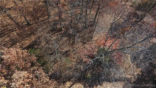 Lot 64 Dennison DR, Linn Creek, MO 65052