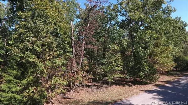 1002R Las Campanas CT, Sunrise Beach, MO 65079