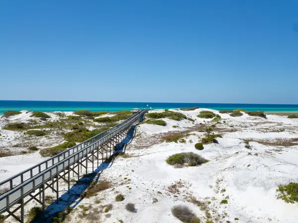 Santa Rosa Beach 2025 Sales Recap and How Sellers Can Maximize in 2026 with Lisa Norton,Lisa Norton