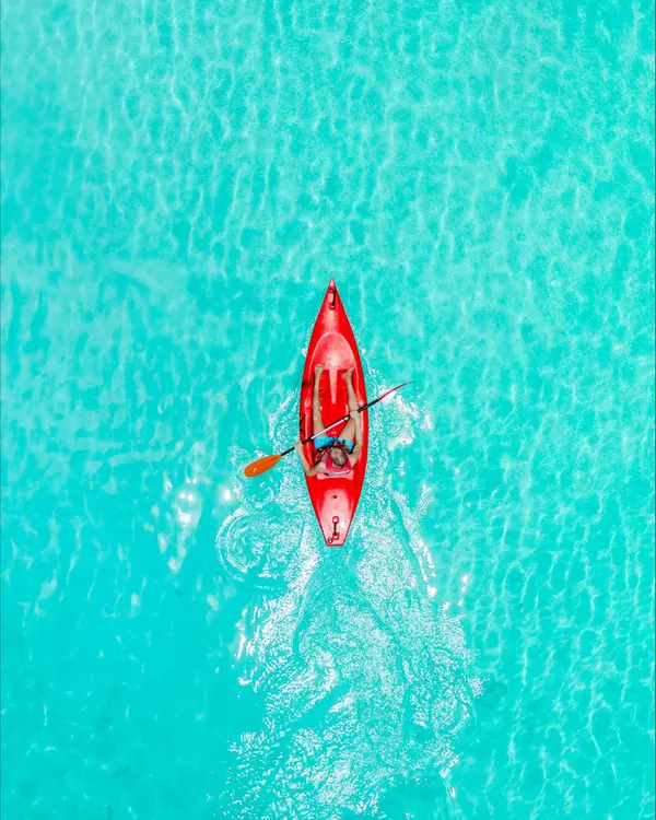 Winning Big: Why Now Is the Time to Invest in Real Estate in Santa Rosa Beach, Florida,Lisa Norton