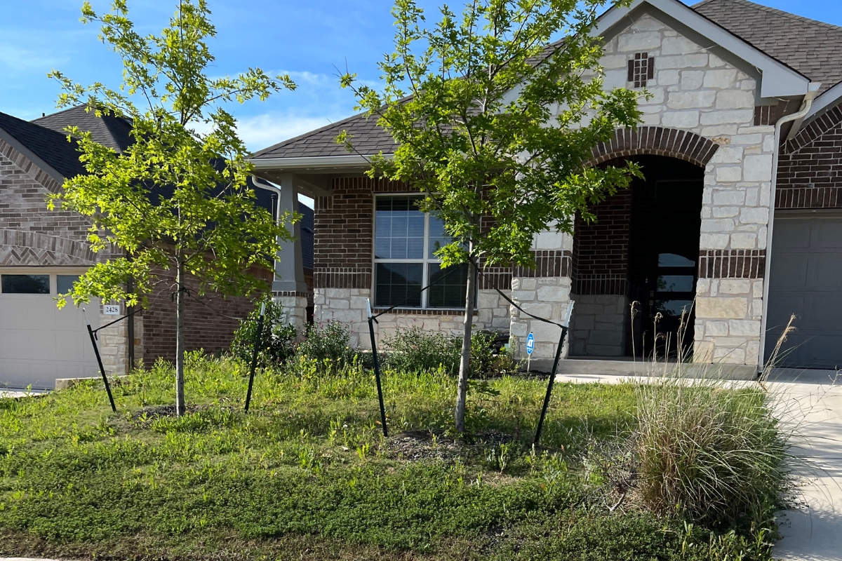 Overgrown yard with tall grass and weeds