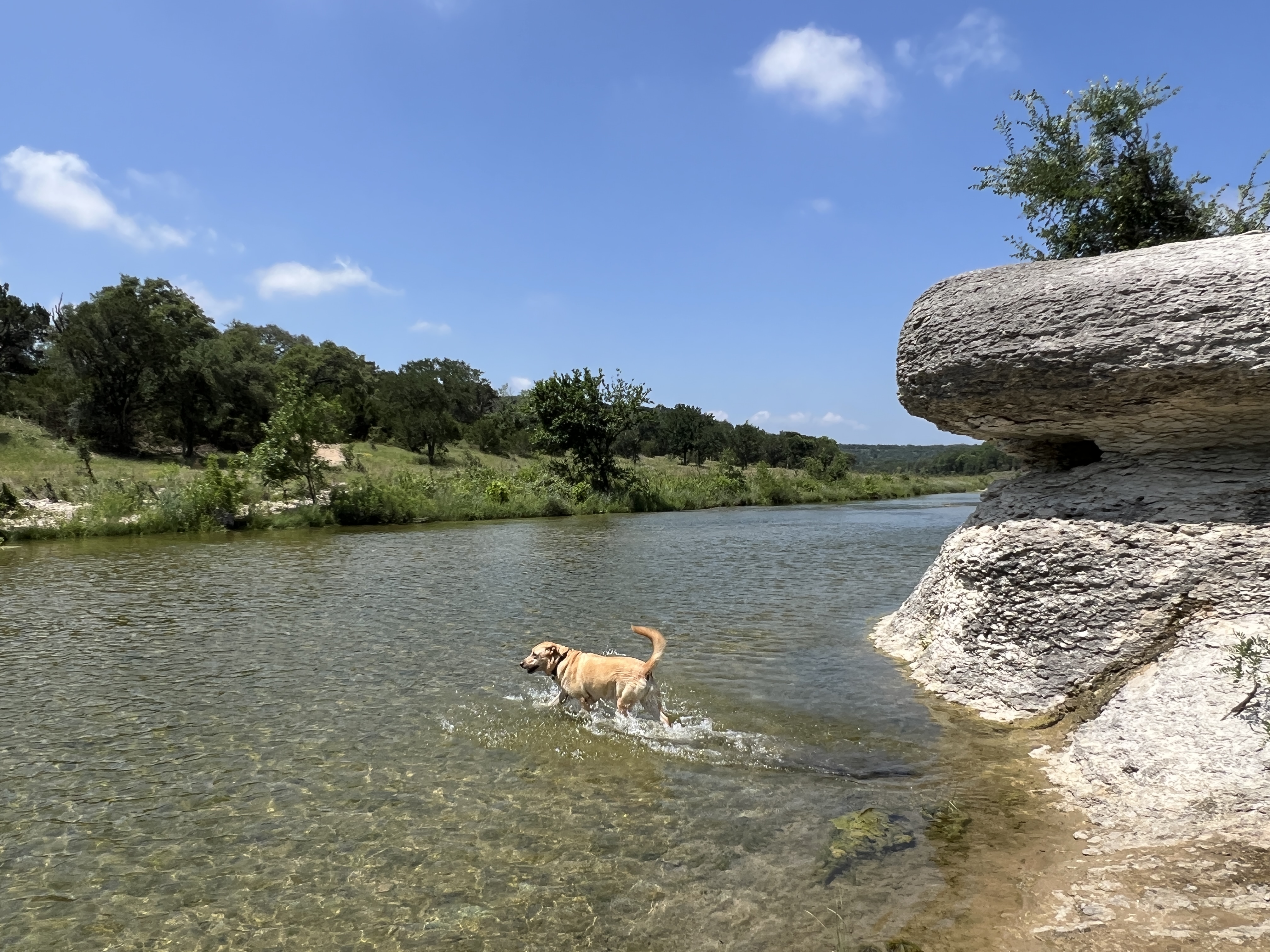 Peaceful river view near Gabriels Overlook Georgetown TX