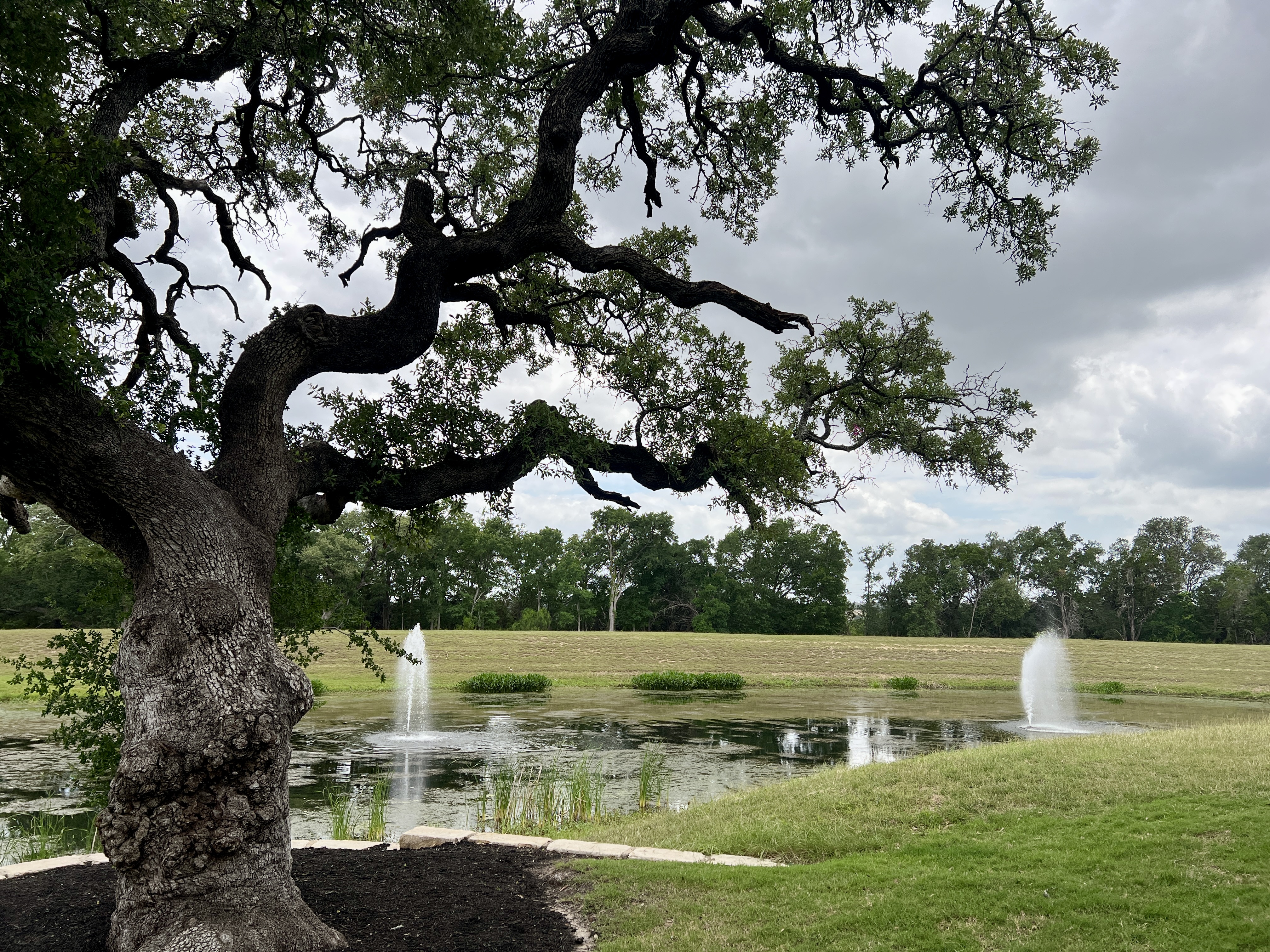 Fishing pond at the Larkspur amenity center in Leander TX with open green space and neighborhood recreation areas for residents