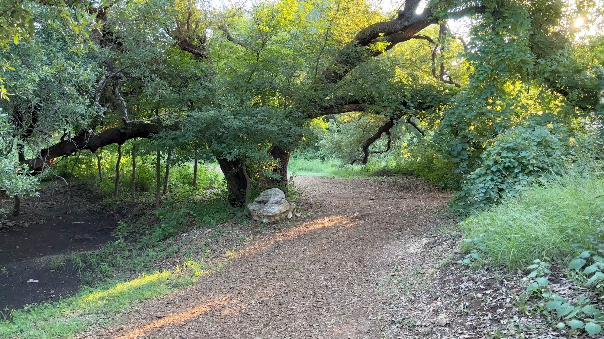 Walking trail in Morningstar community in Georgetown, Texas