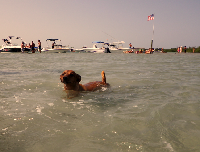 Jupiter Sandbar Loxahatchee River Flotilla