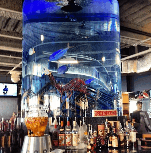 Dive Bar Restaurant Jupiter Yacht Club