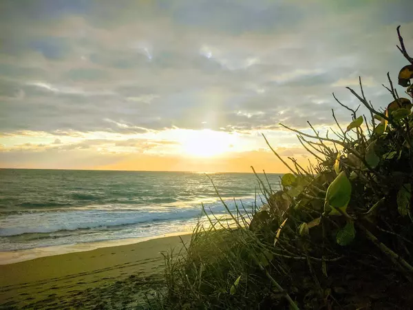The First Cold Front of the Season: Jupiter, FL Gets a Breath of Fresh Air!