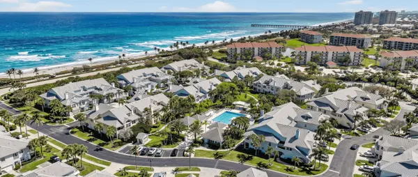 Sea Colony