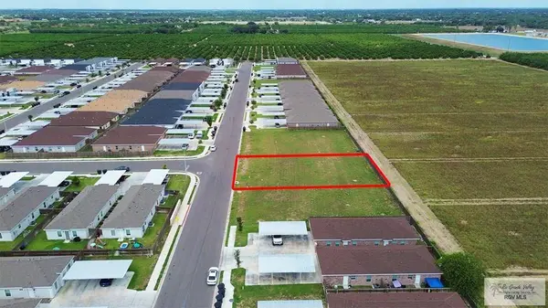 900 Sunset Valley St, Alton, TX 78573