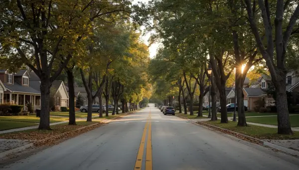 Should You Sell First or Buy First When Moving Out of Illinois?,Brian Hochstetter