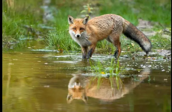 Is It a Good Time to Buy or Sell a Home in the Fox River Valley? ,Brian Hochstetter