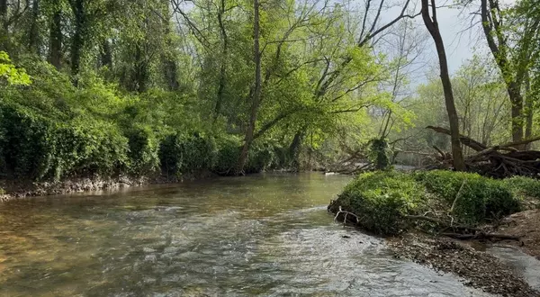 Ozarks water 
