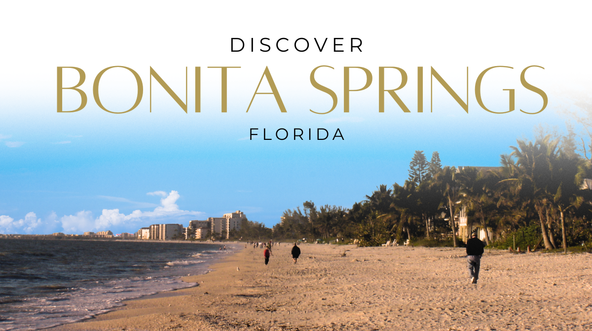 Bonita Springs Beach Newsletter