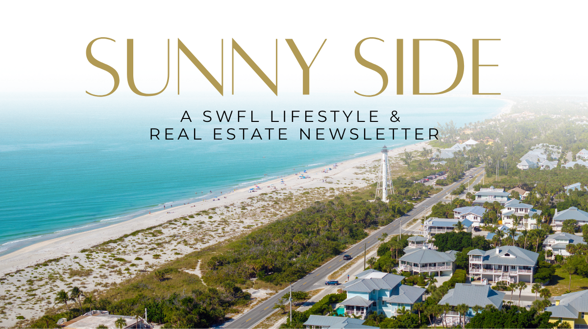 Southwest Florida Aerial View Waterfront