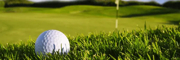 ASTOR CREEK Port St. Lucie Florida | Luxury GATED GOLF Community with $50K Golf Membership Included,Melainey Gunning