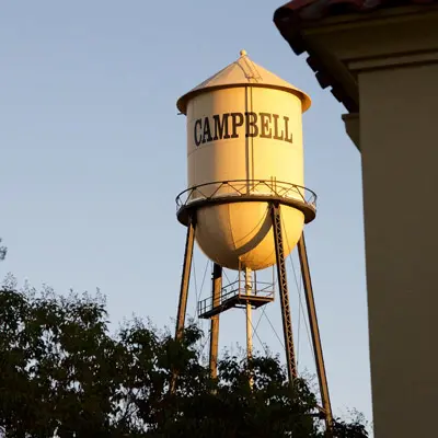 Campbell