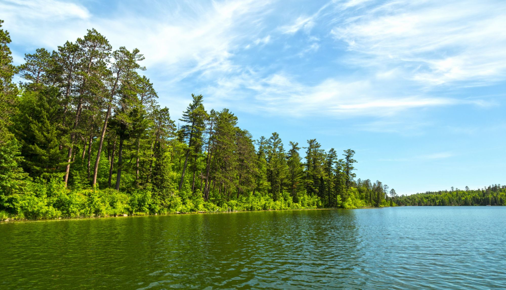 Bill Keller Realtor (16)