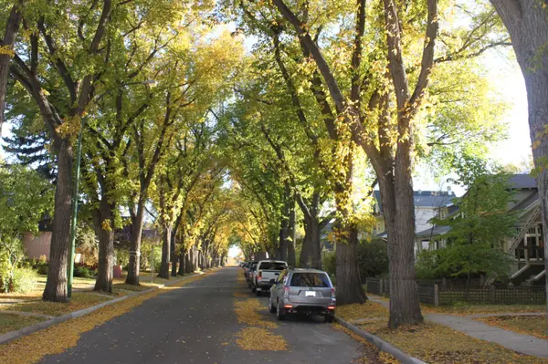 Discover Regina: A Closer Look at the Cathedral Neighbourhood